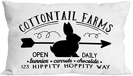 MIXDING Rustic Farmhouse Cottontail Farms Bunny Throw Pillow Cover Pillowcase 12x20 Inch Decor, H... | Amazon (US)