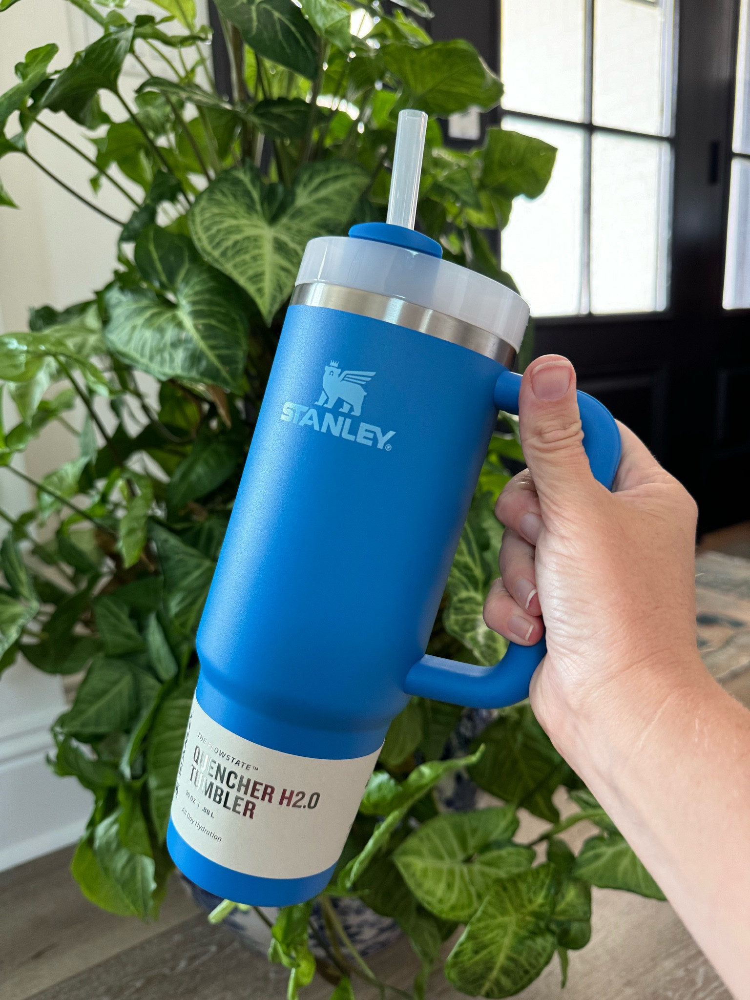 Fun blue Stanley 30 oz 

#LTKFindsUnder50 #LTKStyleTip