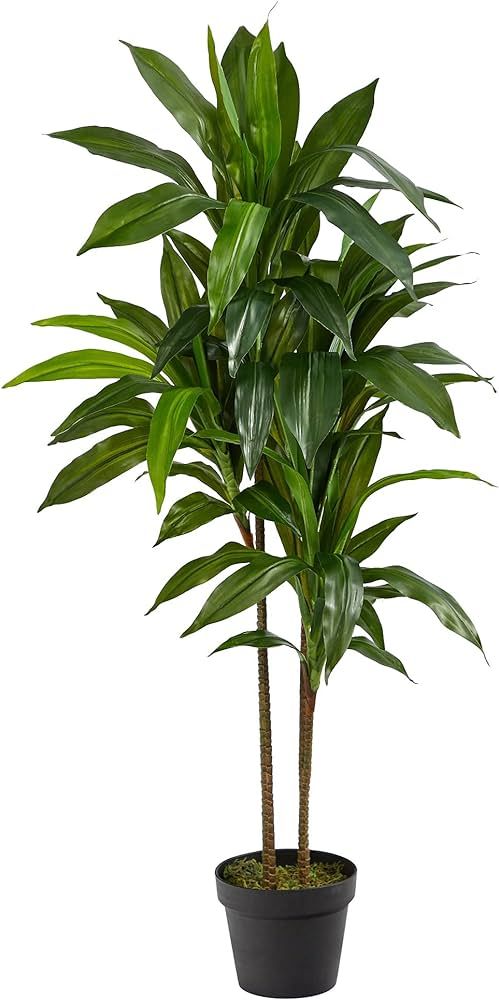 Nearly Natural 48in. Dracaena Silk (Real Touch) Artificial Plant, 48", Green | Amazon (US)