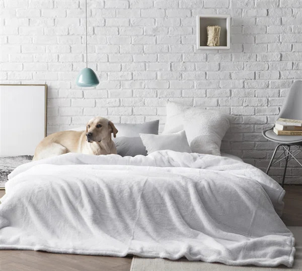 Barros Blanket | Wayfair North America