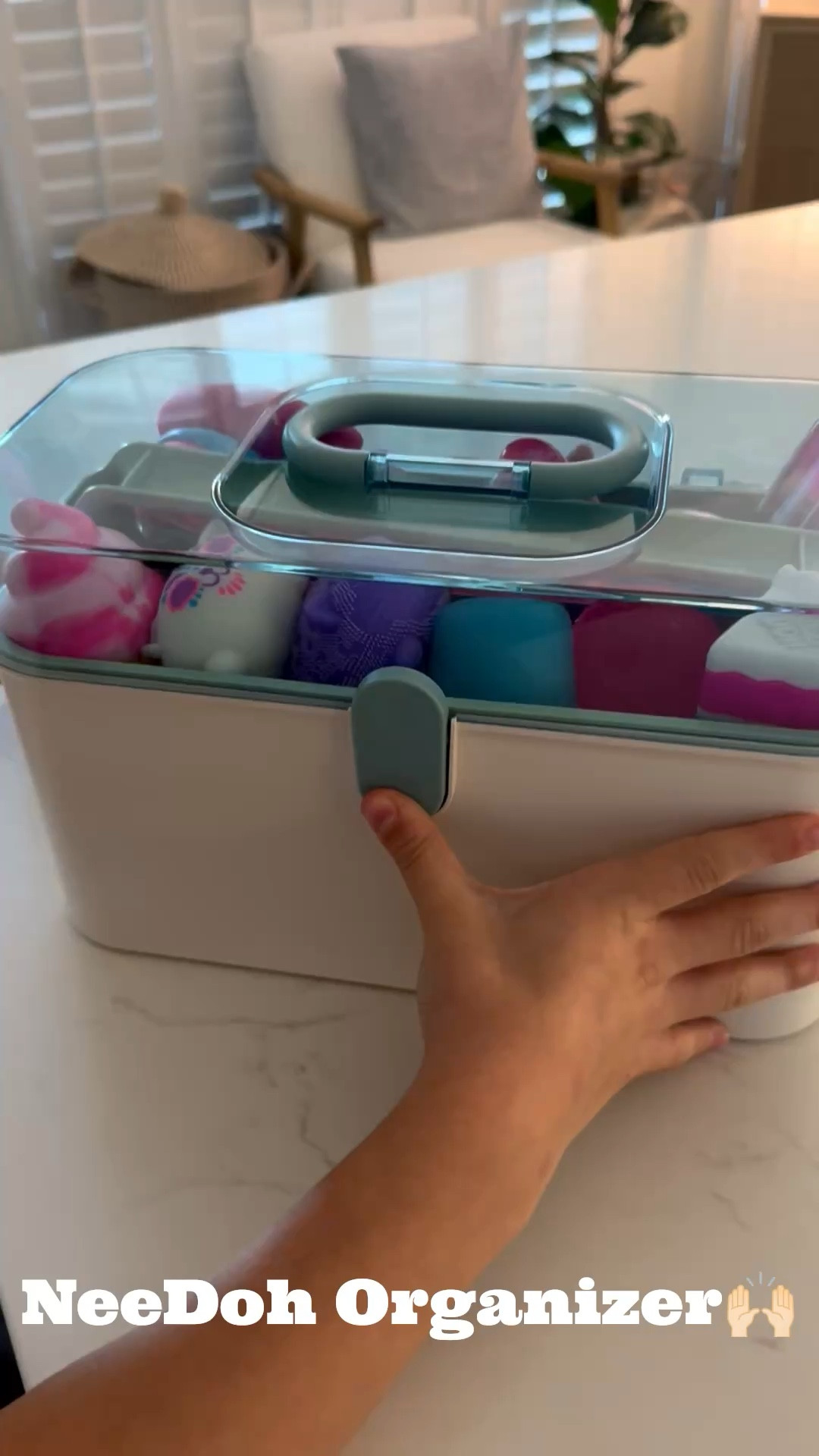 Found the best organizer for my daughter’s NeeDohs for under $10!  The perfect on the go organizer!  Squishy, Needohs and dumplings organizer!  #needohs #squishy #dumplings #squishies #needoh #organizing #LTKmomlife #targetstyle #schylling #needohhunting 

#LTKKids #LTKHome #LTKdayinmylife
