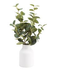 Eucalyptus Stems In Mod Vase | Marshalls