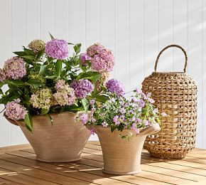 Harbour Cachepots | Pottery Barn CA