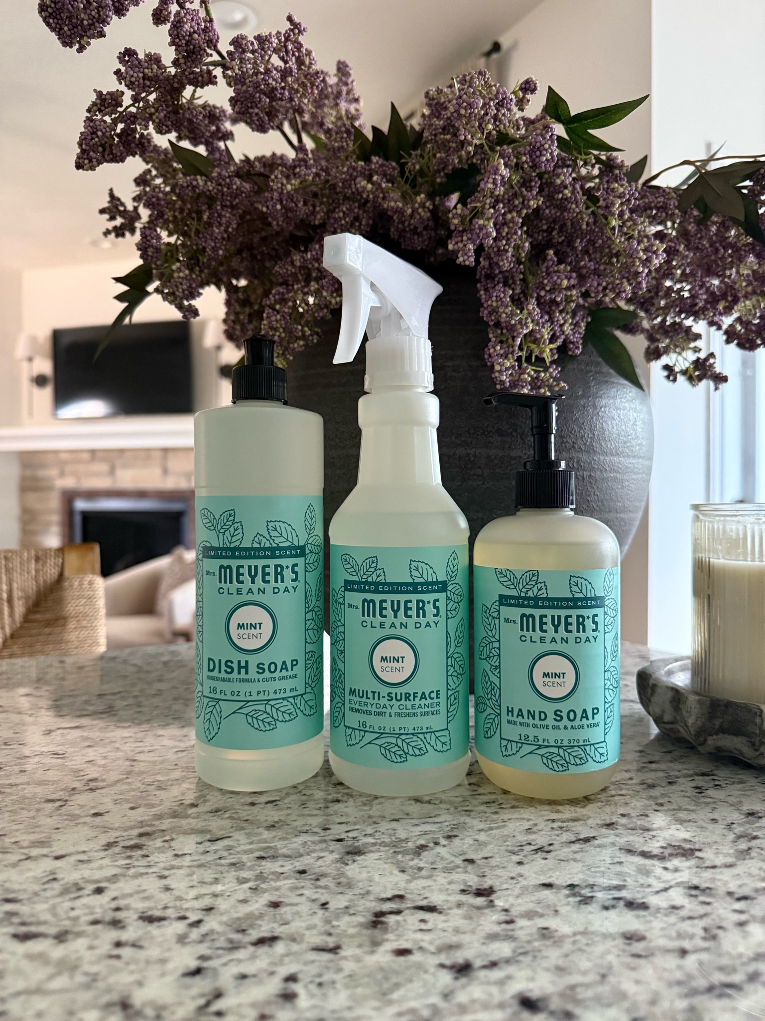 Love the Mint scent 🍃 It reminds me of fresh herbs growing in a garden with the windows open on a cool morning. It has a crisp, clean fragrance that instantly makes my home feel refreshed, calm, and inviting. I love that it’s subtle and natural without being overpowering—it leaves everything smelling clean and fresh rather than overly perfumed, making everyday cleaning feel just a little more enjoyable.

#LTKHome #LTKSeasonal