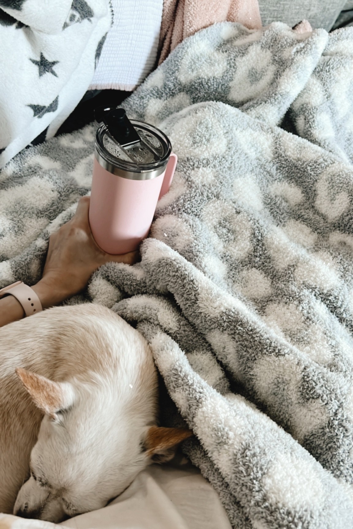 Cozy leopard print Walmart blanket and one of my fave coffee tumblers. 

#LTKunder50 #LTKhome #LTKSeasonal