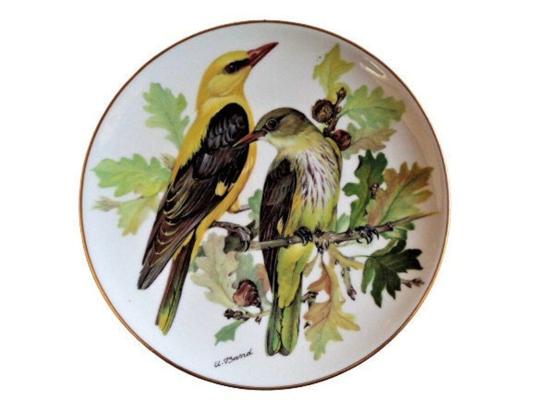 Vintage Bird Plate Designed by Ursula Band Wall Display - Etsy | Etsy (US)
