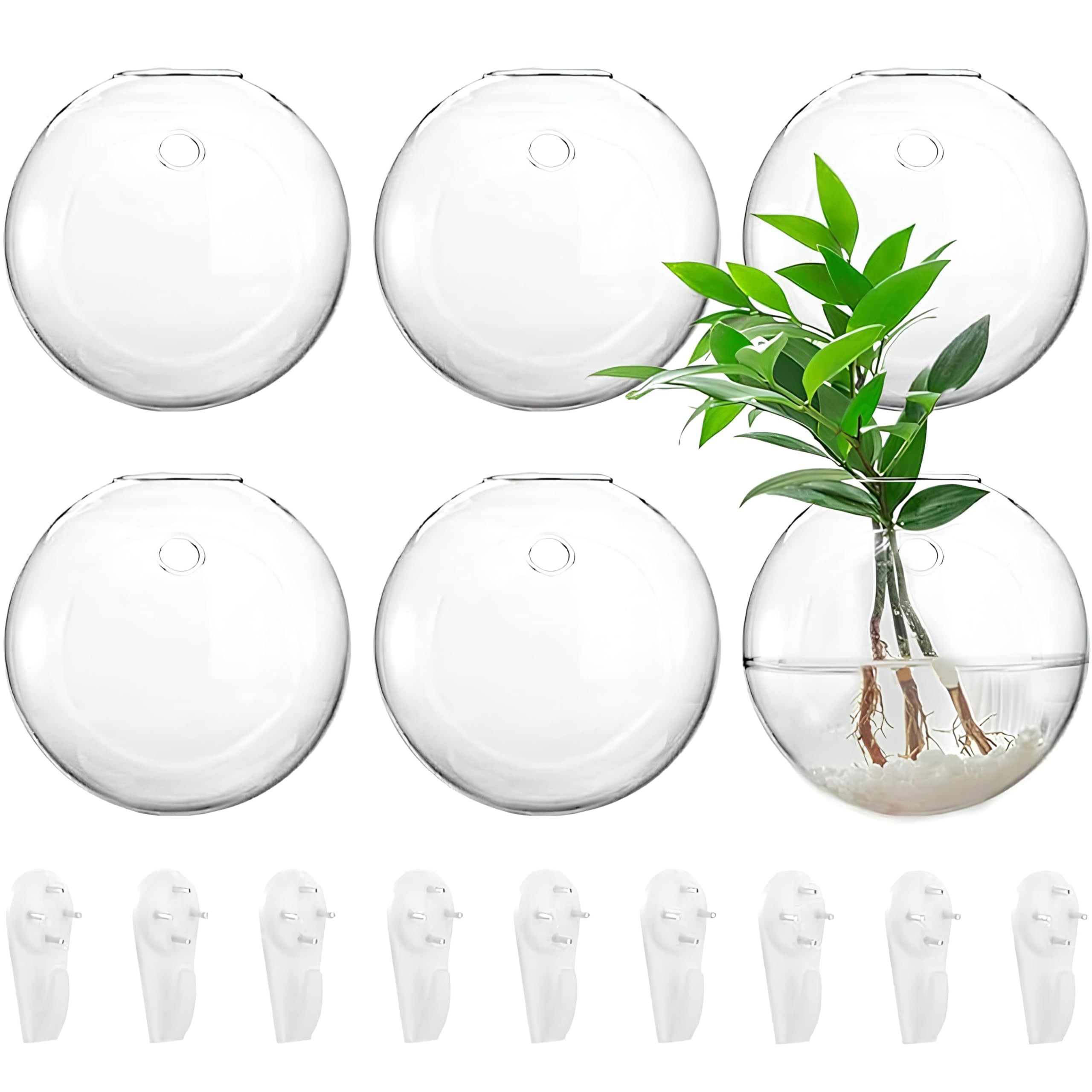 Yarlung 6 Pack Wall Hanging Planters Terrarium, 4.7 Inch Glass Oblate Globe Plants Containers, Wa... | Amazon (US)