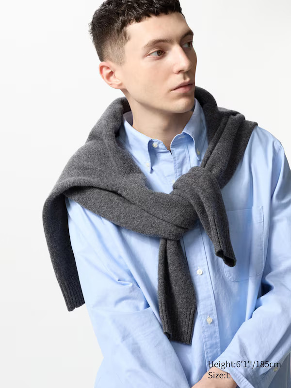 Oxford Hemd (Regular Fit) | UNIQLO (DE)