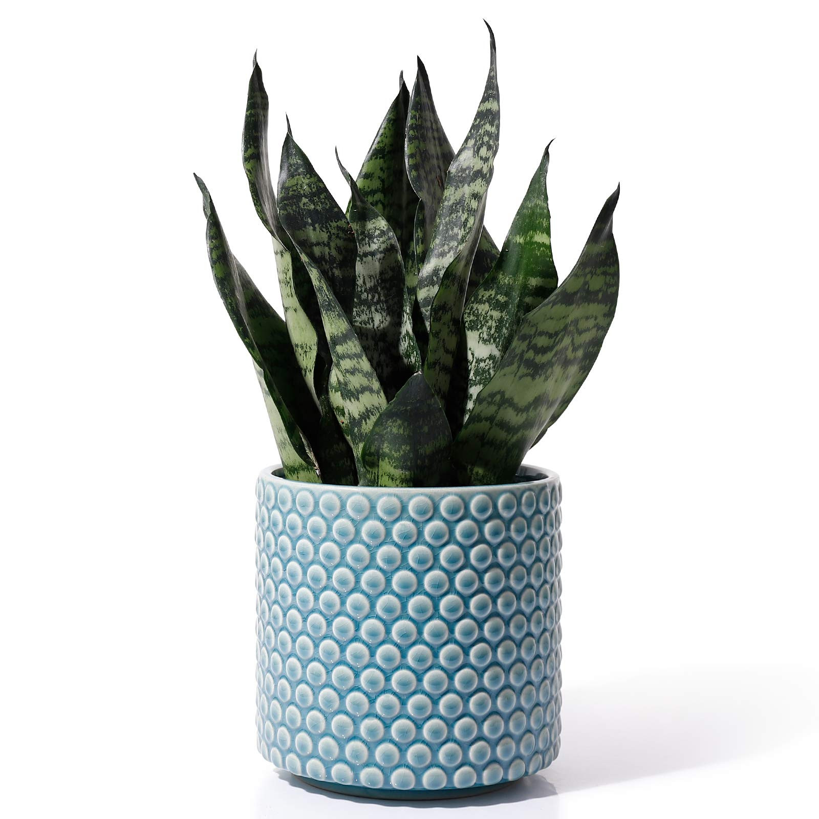 Planters Pots for Plants Indoor - POTEY 054303 6 Inch Ceramic Vintage Style Polka Dot Patterned Plan | Amazon (US)