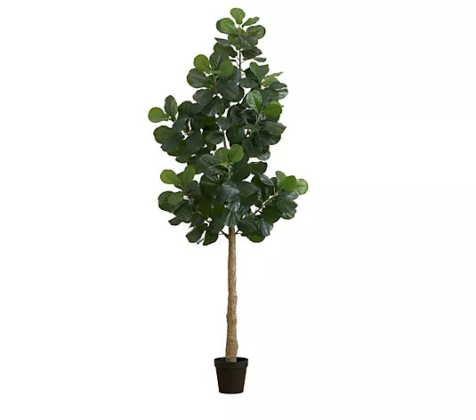 Make Your Selection: Nearly Natural 9-ft Artificial Fiddle Leaf Figree | QVC