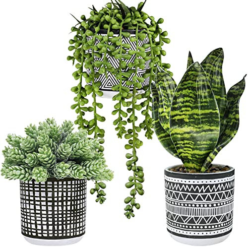 Winlyn 3 Pcs Small Potted Plants Artificial Succulents Hanging Plants and Faux Tropical Snake Plant in Black Geometric Pots for Modern Home Kitchen Windowsill Table Shelf Indoor Outdoor Greenery Decor | Amazon (US)