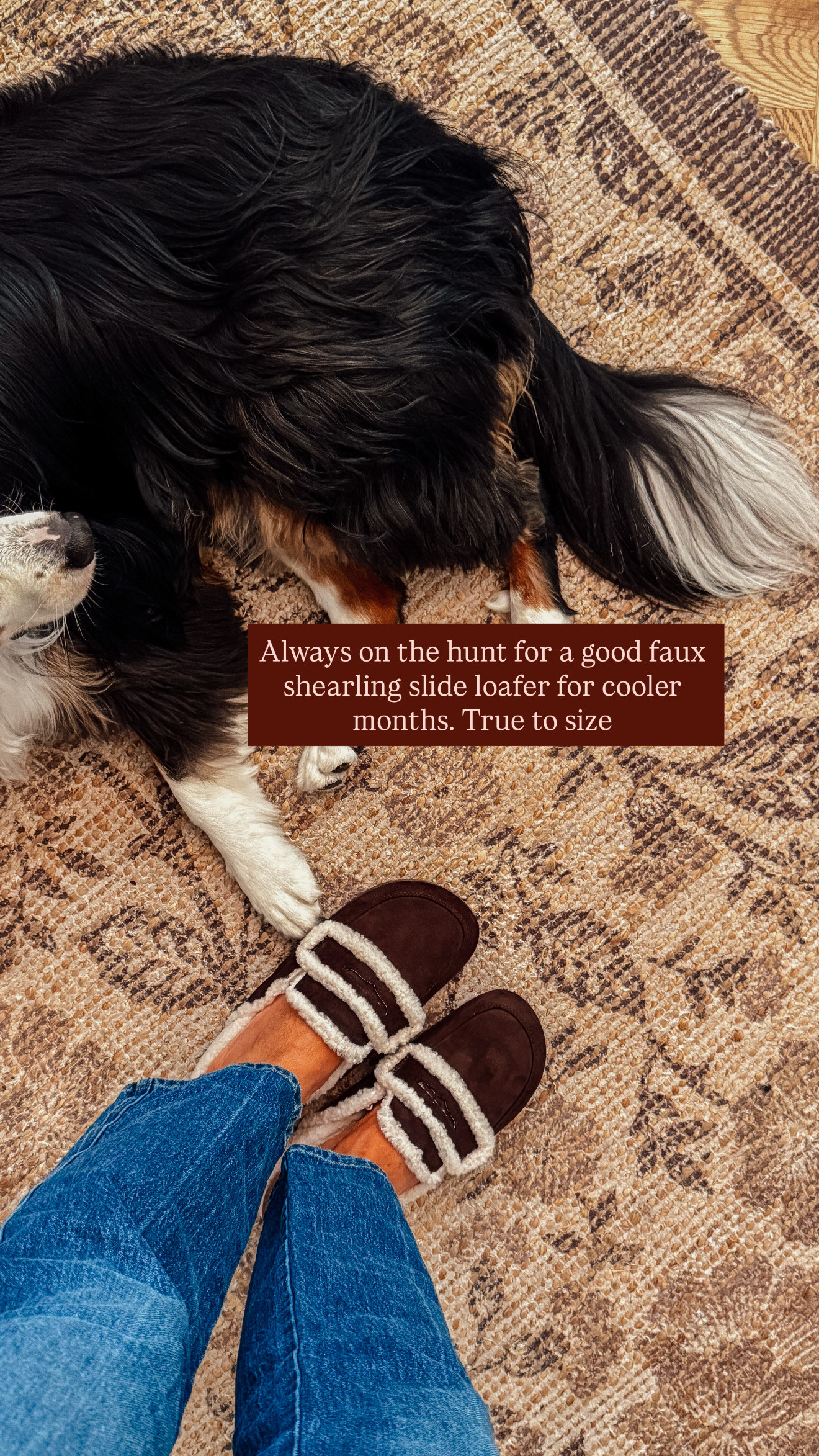 I found the coziest shoes for fall 🤎 linked everything I ordered from Walmart for my fall wardrobe!

#WalmartPartner #WalmartFashion @WalmartFashion

#LTKSeasonal #LTKShoeCrush #LTKFindsUnder50