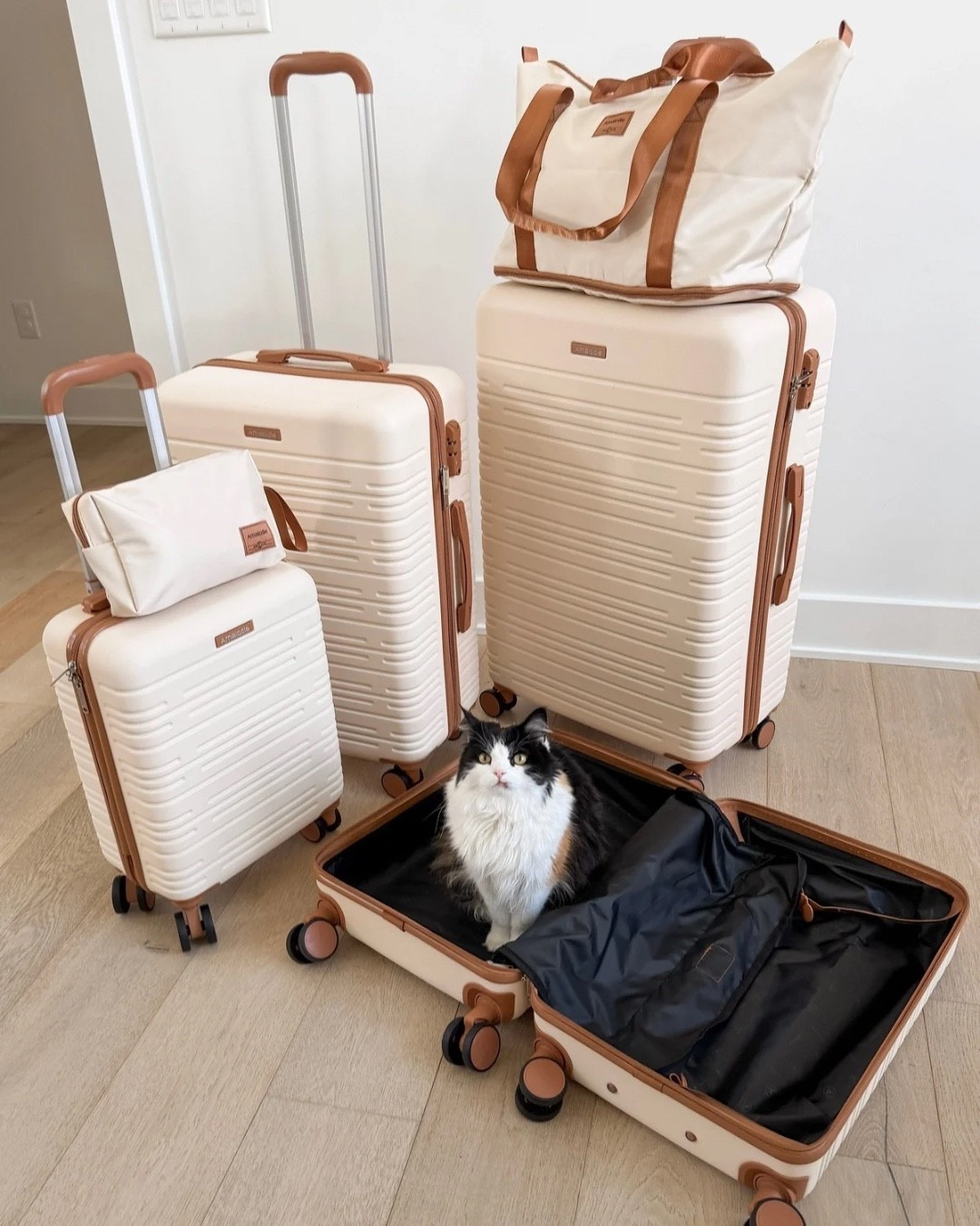 Luggage set, 6 piece, hard shell suitcases, matching bags, carry on, travel essentials, roadtrip, on sale, seal, Walmart finds 

#LTKCyberWeek #LTKSaleAlert #LTKTravel