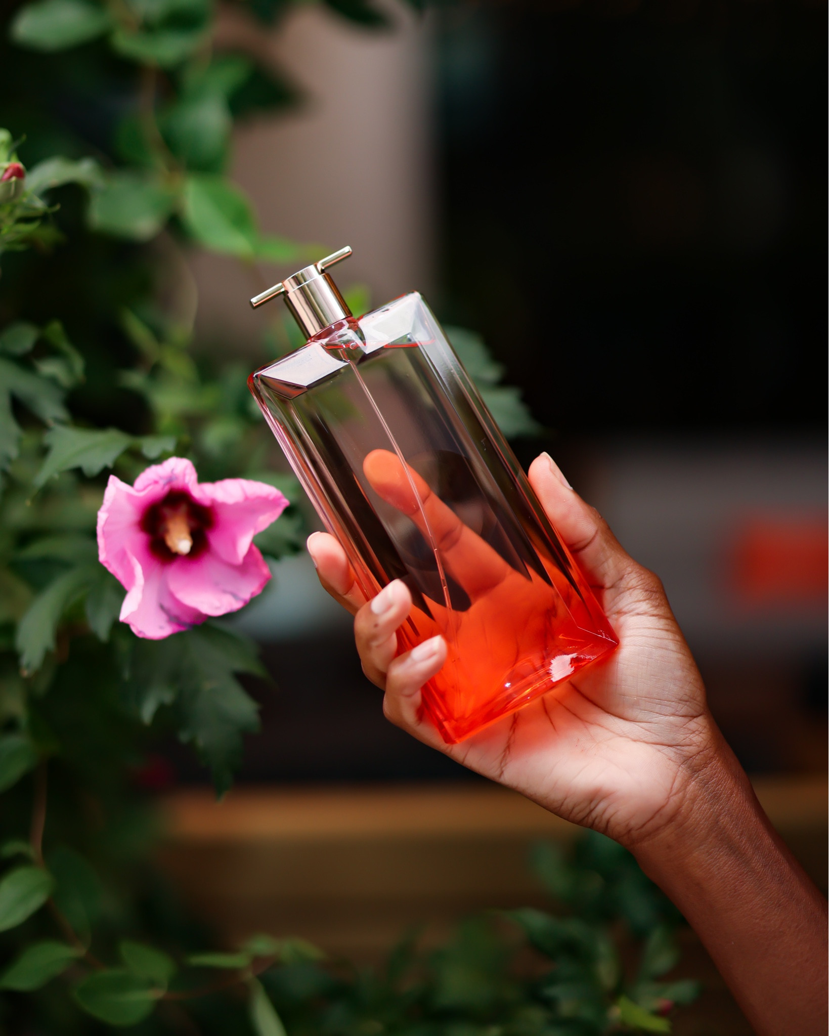 My favorite perfume 

#LTKbeauty #LTKxSephora #LTKstyletip