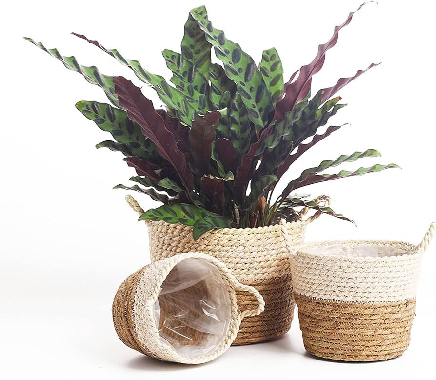 Amazon.com : SaolGllS Plant Baskets for Indoor Plants, Seagrass Flower Plant Pots Cover Storage B... | Amazon (US)