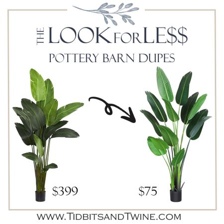 I’ve seen this PB faux plant and I own the dupe and I love my dupe!!

Faux plant, realistic plant, plant that looks real, designer dupes, looks for less, Palm, faux palm, houseplant, best plants 

#LTKhome #LTKFind #LTKstyletip