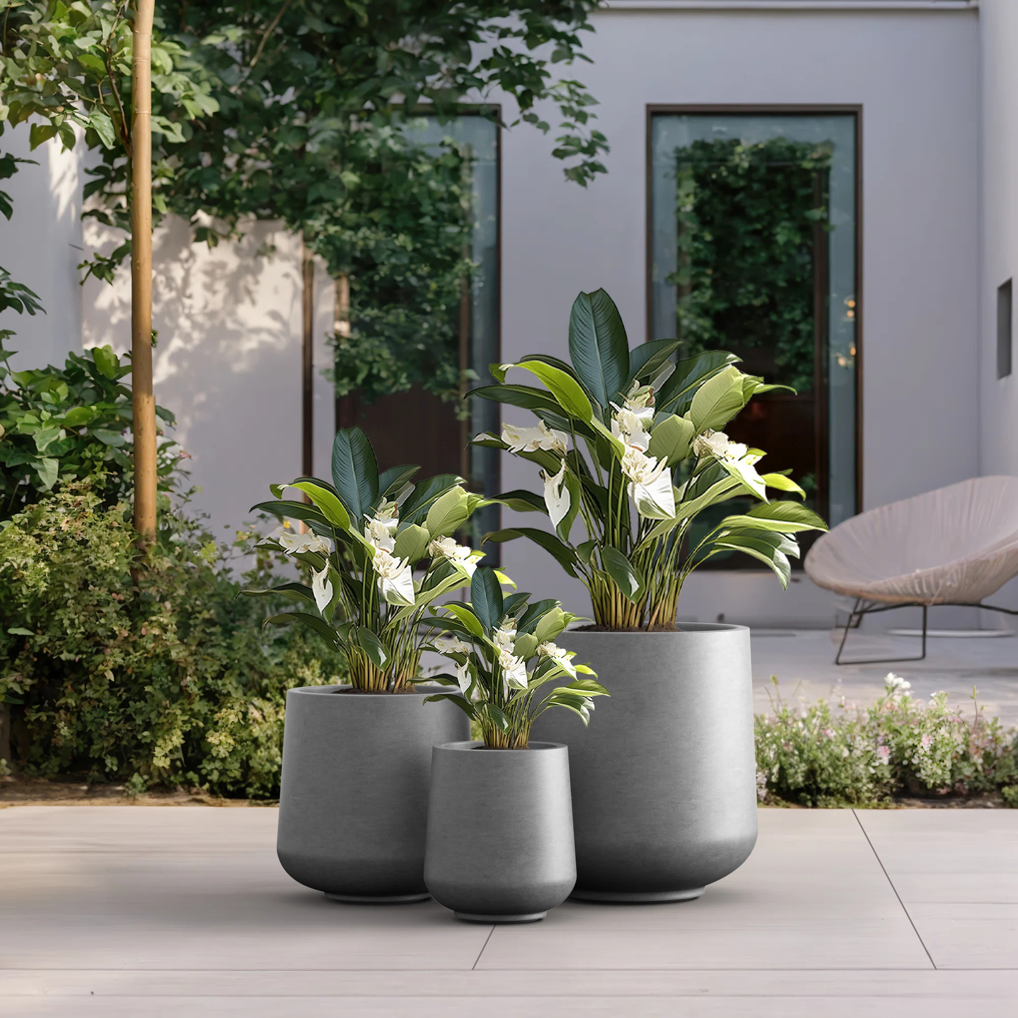 Brennus 3-Piece Cement Pot Planter Set | Wayfair North America