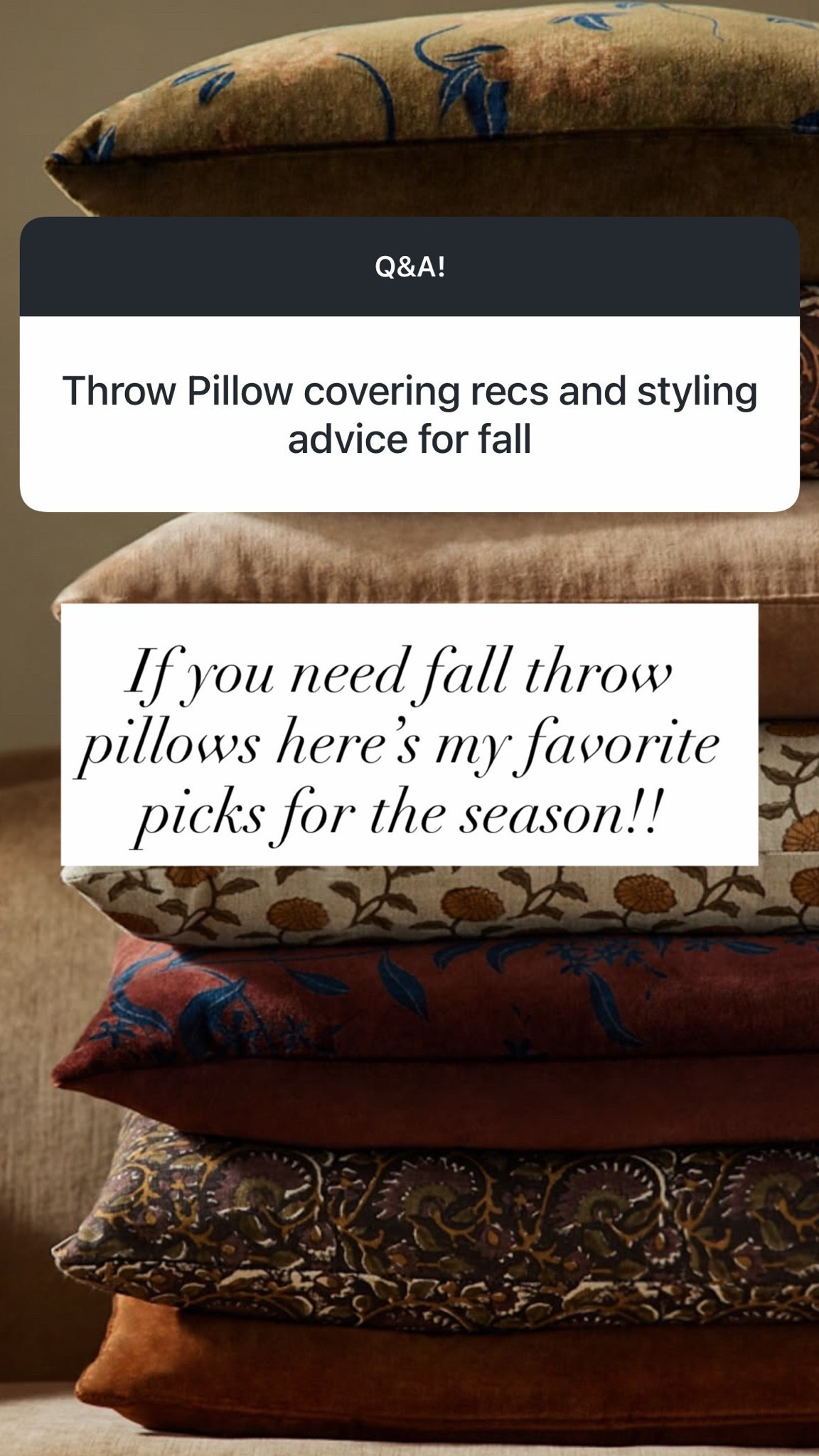 Fall throw pillows!