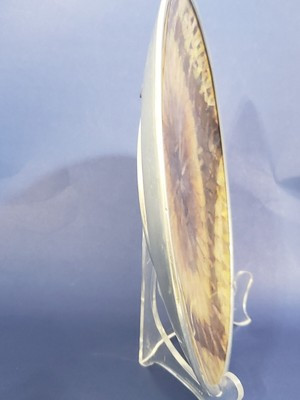 Real Butterfly Wing Vintage Aluminum Wall Plate 1940s-50s from Brazil  9 5/8''  | eBay | eBay US