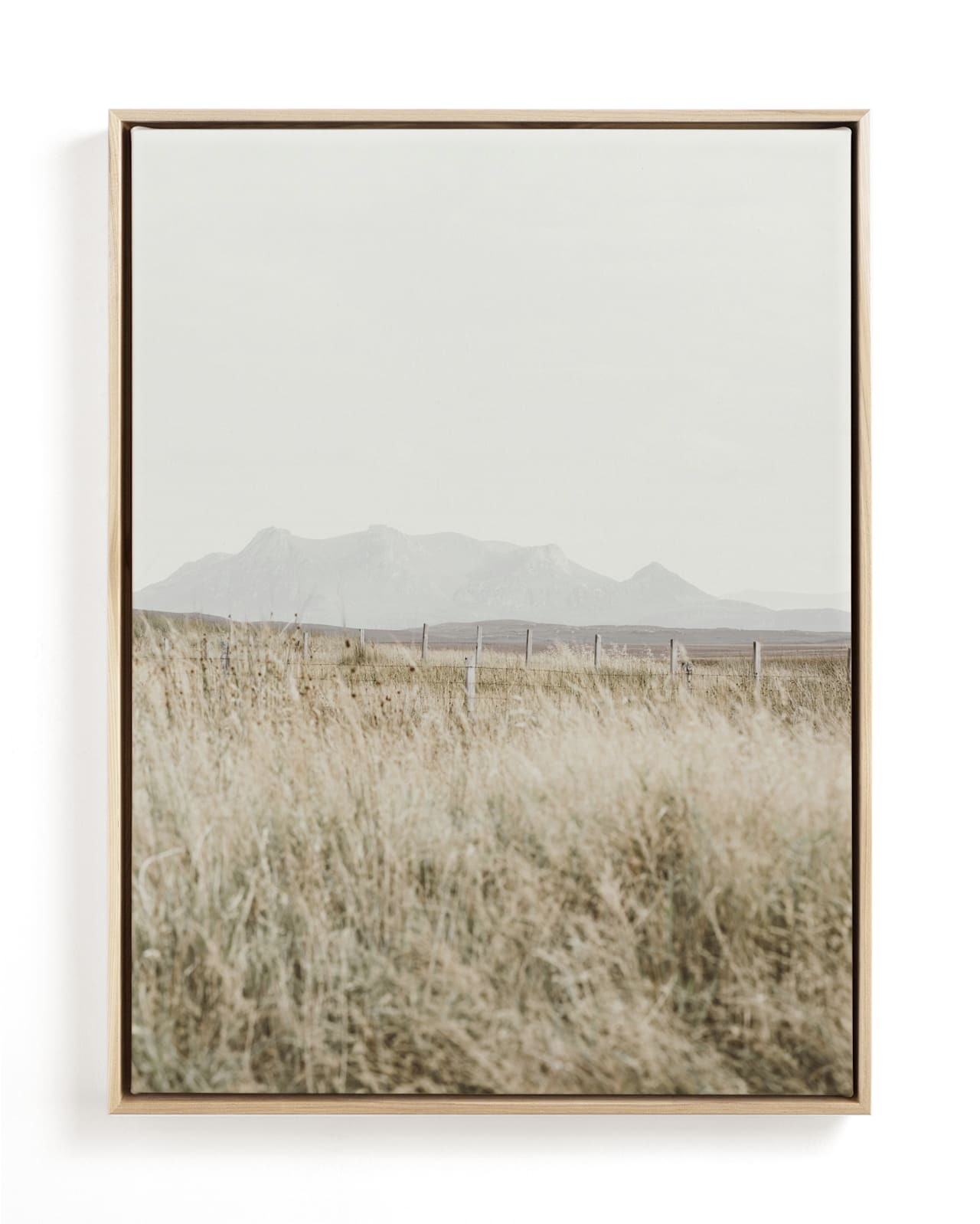 highland prairie III | Minted
