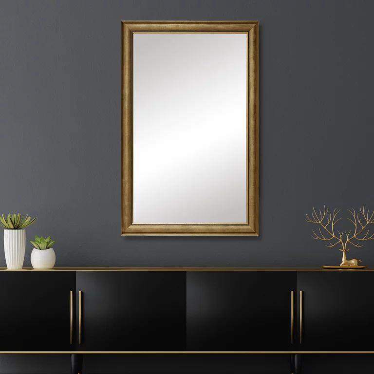 Oxfordshire Gold, Ornate 20" x 60" Framed Wall Mirror, Rectangular Vanity Mirror | Walmart (US)
