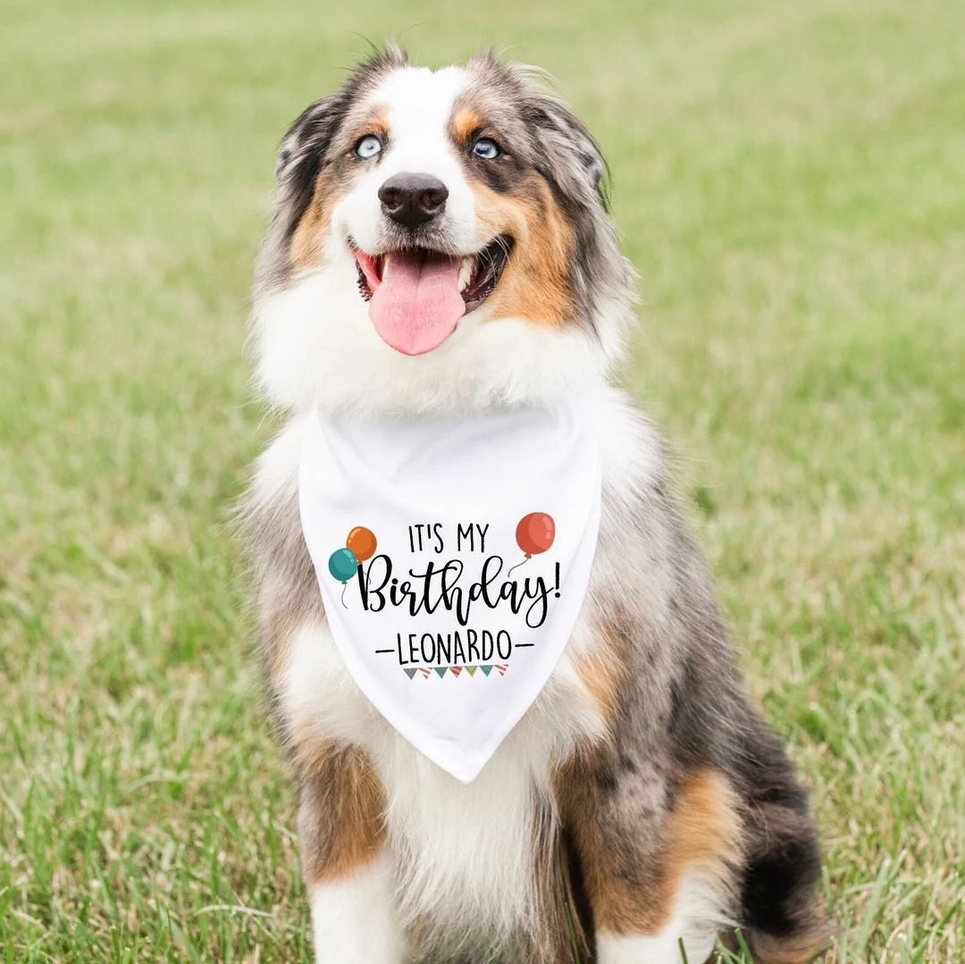 Birthday Dog, Dog Birthday Bandana, Dog Birthday Party, Dog Birthday Gift, Birthday Dog Bandana, ... | Etsy (US)
