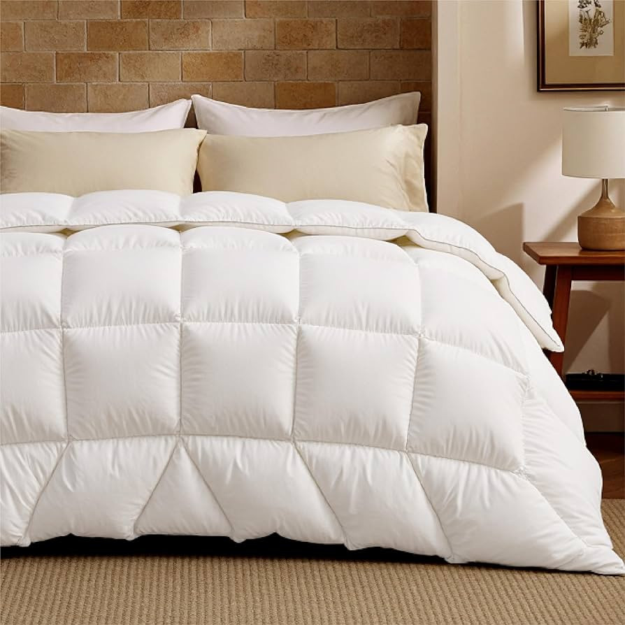 Bedsure Feather Down Comforter Queen Size, Luxurious Fluffy Hotel Duvet Insert with Storage Bag &... | Amazon (US)