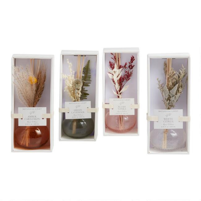 Bubble Glass Botanical Reed Diffuser | World Market