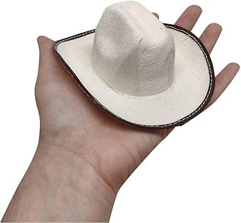 More Fiesta Mini Cowboy Rodeo Hats, 5 Inches Size - 12 Pack (Beige) | Amazon (US)
