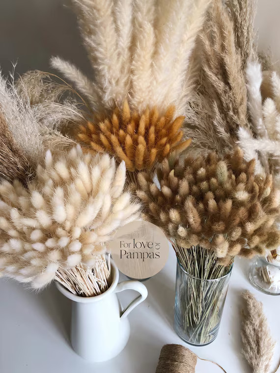 BUNNY TAILS Handpicked Bunch - Natural Dried Lagurus Pampas Grass Boho Wedding Decor Bridal Bouqu... | Etsy (US)