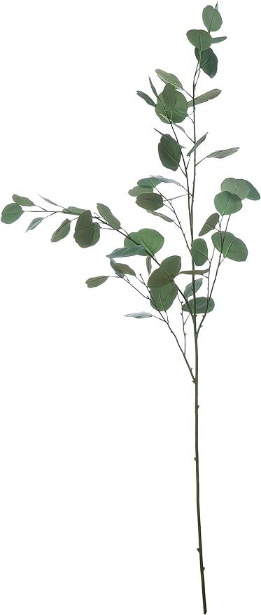 Creative Co-Op Eucalyptus Branch Faux Botanical, Green | Amazon (US)