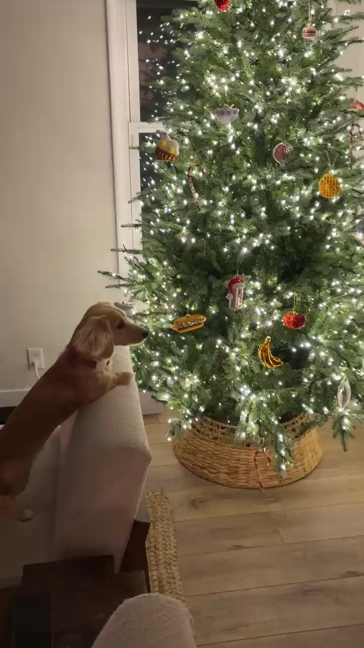 Having a pre-lit Christmas tree is a MUST and Benny is soooo obsessed with all the ornaments 🥹🎄 

#LTKHome #LTKHoliday #LTKSeasonal