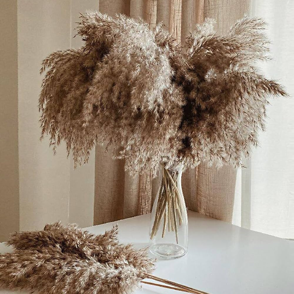 ROOLLYA 17 Inch 20 Stems Natural Pampas Grass Decor - Tall Fluffy Pompas Grass for Floor Vase - B... | Amazon (CA)