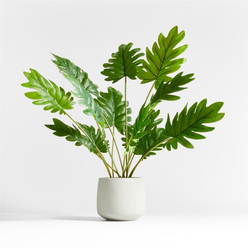 Potted Faux Philodendron 24" | Crate & Barrel | Crate & Barrel