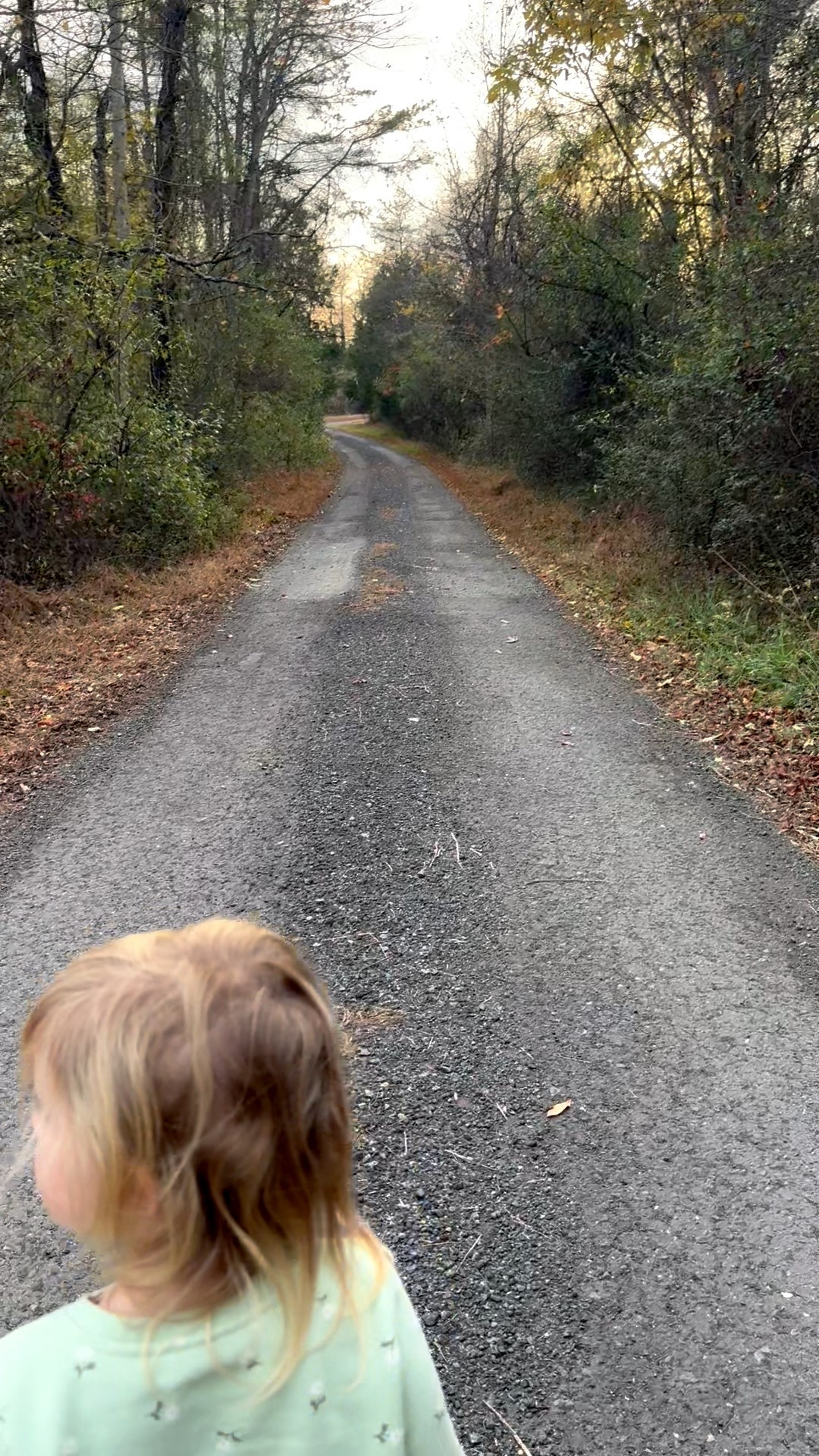 Warm layers for Fall from Target!! Lots on sale! Some of my faves 🍂🌲🌾

#LTKSeasonal #LTKKids #LTKSaleAlert