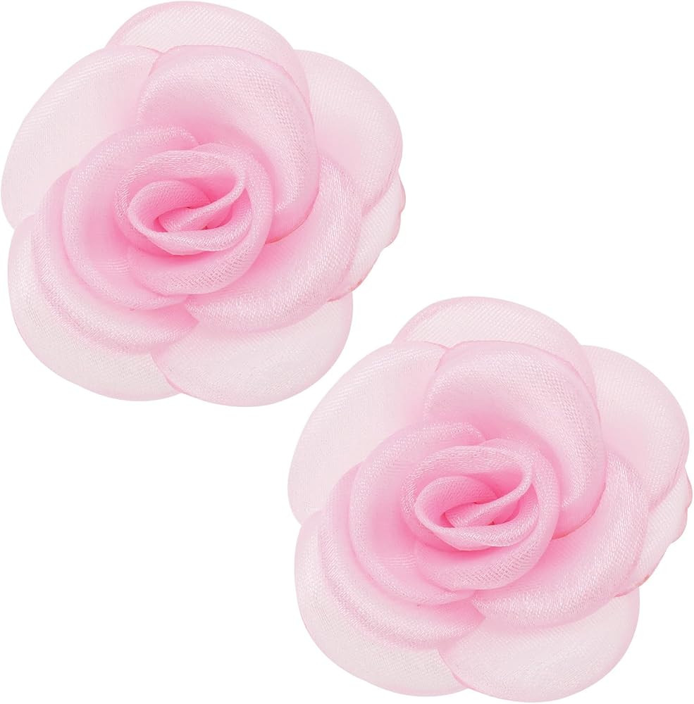 Create idea 2pcs Rose Fleur Clips de Chaussures Rose Boucles de Chaussures Charmes Décoratifs Am... | Amazon (FR)