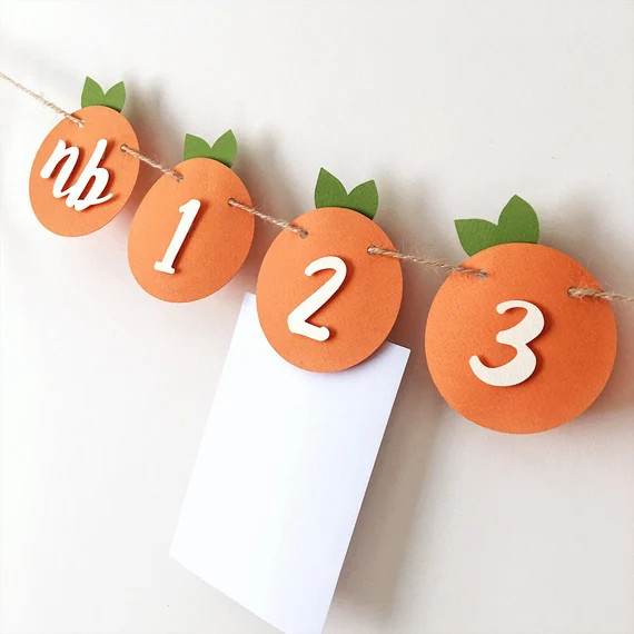 Little Cutie 12 Month Photo Banner Orange 1st Birthday Decorations | Etsy (US)