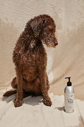 FP x Best Friends Animal Society Dog Shampoo | Free People (Global - UK&FR Excluded)