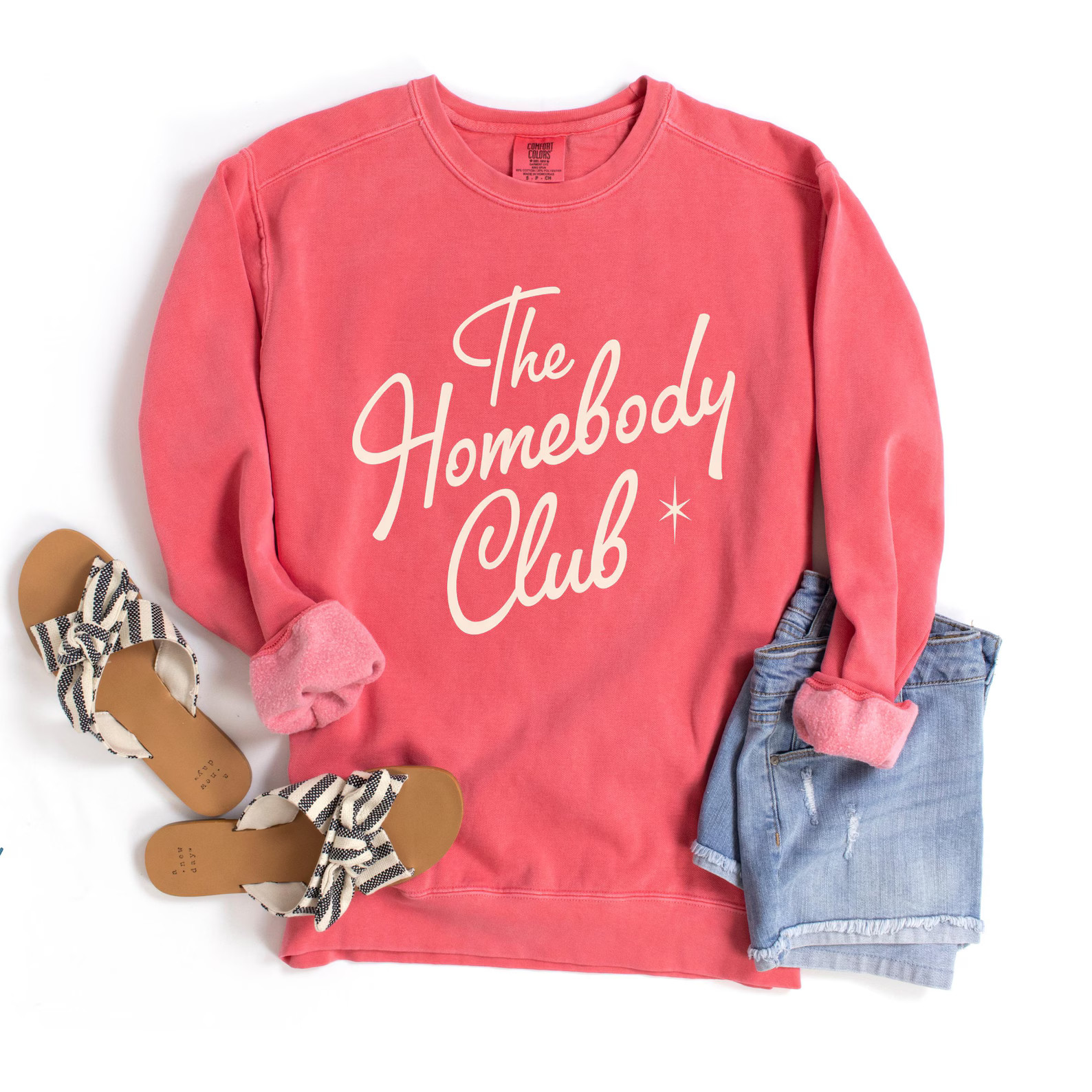 Homebody Club Sweatshirt - Trendy Retro Comfort Colors Sweatshirt, Cozy Gift for Introverts, Loun... | Etsy (US)