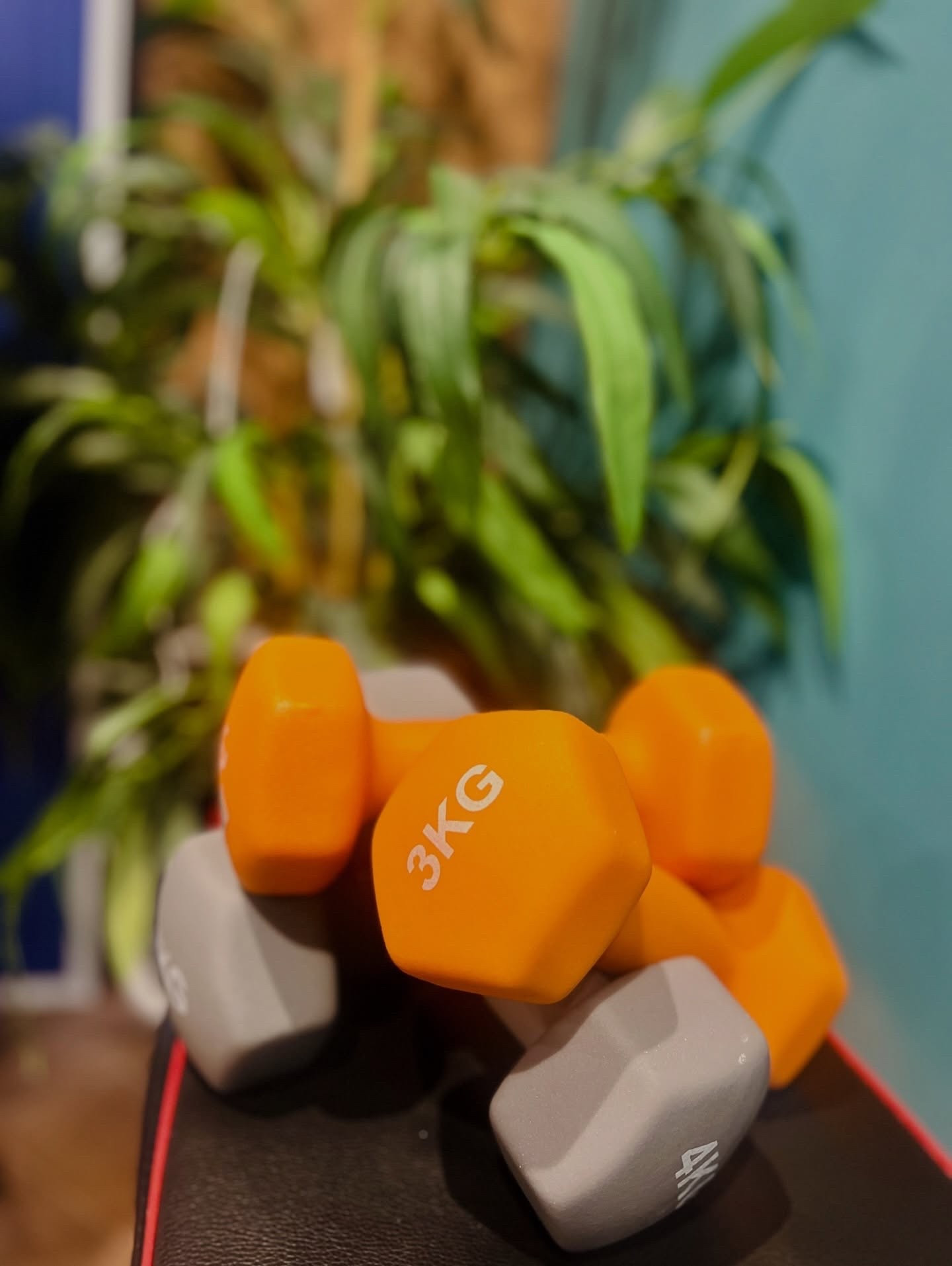 Trying to get back into an exercise routine 💪

The only weight I’m currently lifting is the box of Heroes from the table… to my lap.

Progress is progress, right? 🍫😌

#struggles #reallifestruggles #weighttraining #weighttrainingforwomen #progressisprogress