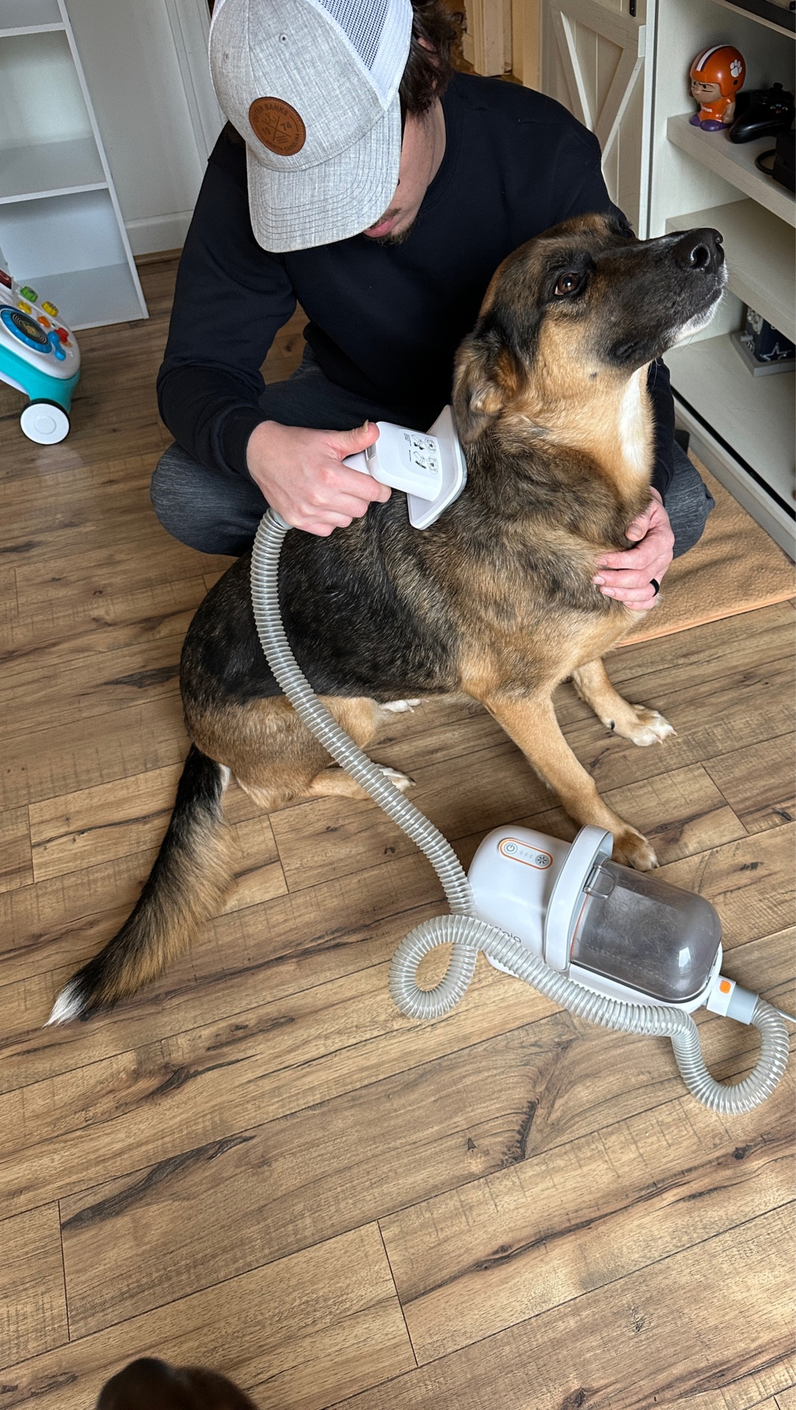 With a German shepherd mix and 3 other dogs, this grooming kit is an absolute must! It’s so quiet it doesnt wake my baby up from his nap either! 

#groomingkit #dogs #germanshepherd 

#LTKFamily #LTKPets #LTKHome