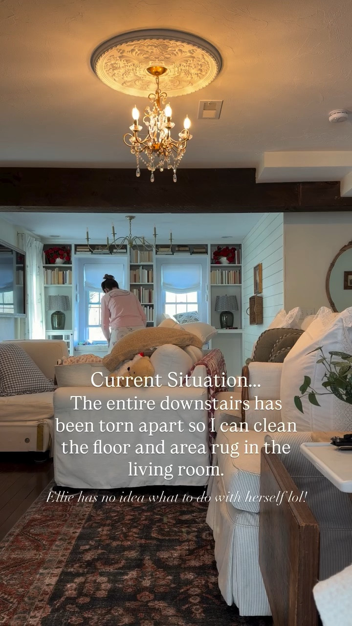 The entire downstairs has been torn apart so I can clean the floor and area rug in the living room. Current Situation….. Ellie has no idea what to do with herself lol!