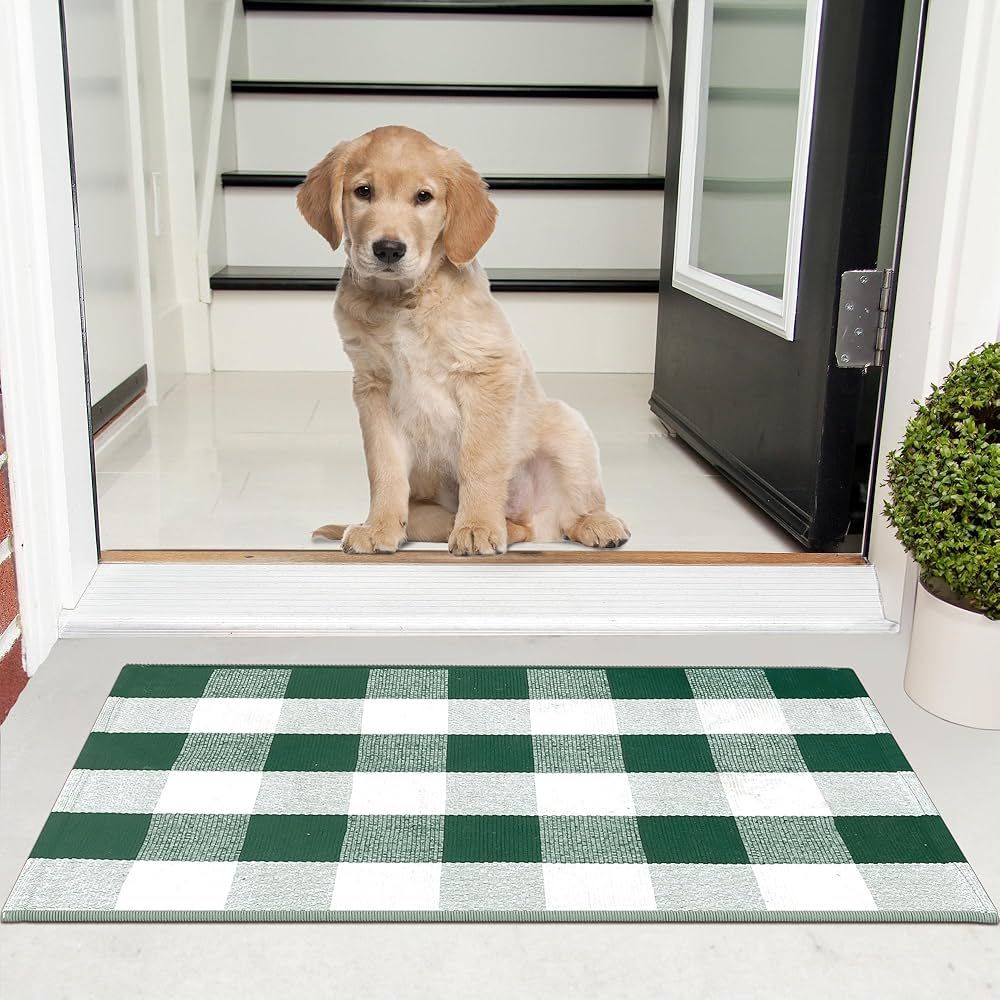 Green and White Buffalo Plaid Outdoor Rug - 24x36 - Cotton Buffalo Plaid Rug for Outdoor/Indoor U... | Amazon (US)