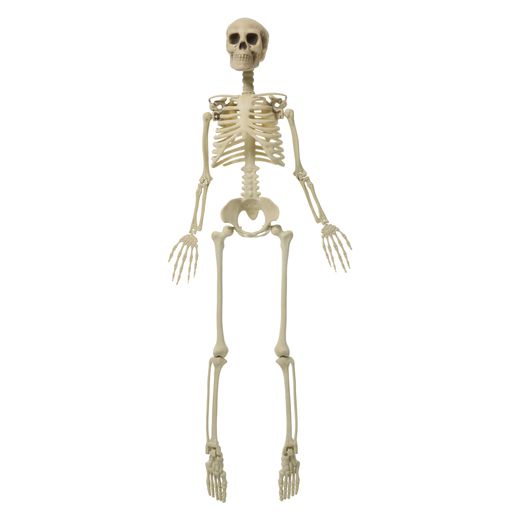 hanging skeleton decoration 3ft | Five Below