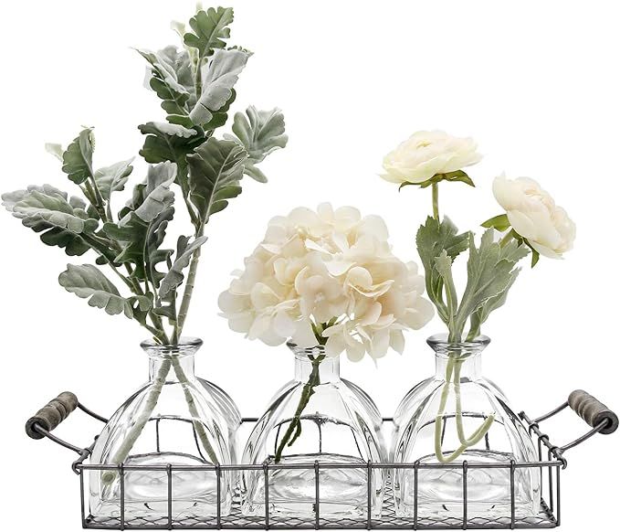FUNSOBA Rustic Flower Vase Set with Metal Tray Farmhouse Glass Bottles for Decor (3 Vase Type C) | Amazon (US)