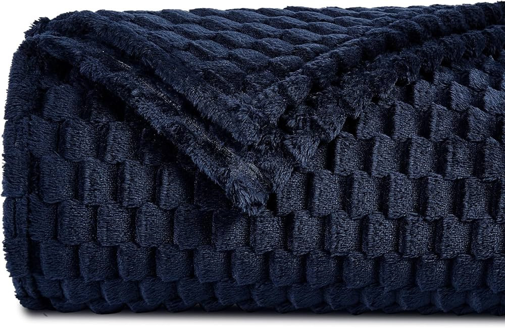 DREAMNINE Decorative Soft Plush Fleece Throw Blanket for Couch Sofa 50" x 60", Luxury Shaggy Ligh... | Amazon (US)