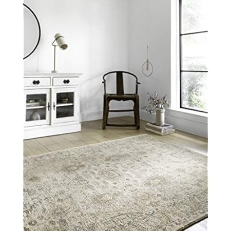 Chris Loves Julia x Loloi Rosemarie ROE-03 Sand / Lagoon Oriental Area Rug 7'-10" x 10' | Amazon (US)