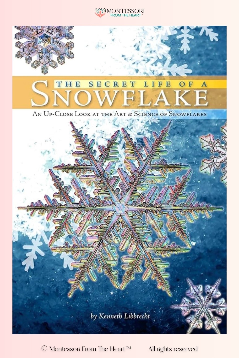 The Secret Life of a Snowflake Book 

#LTKHoliday #LTKGiftGuide #LTKKids