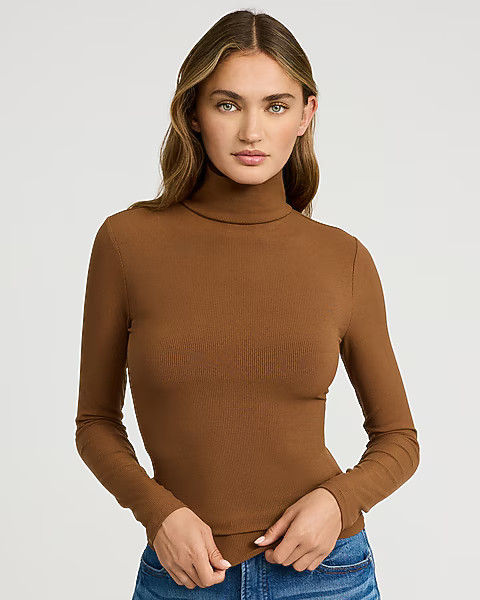 Fitted Ribbed Mock Neck Long Sleeve Tee | Express