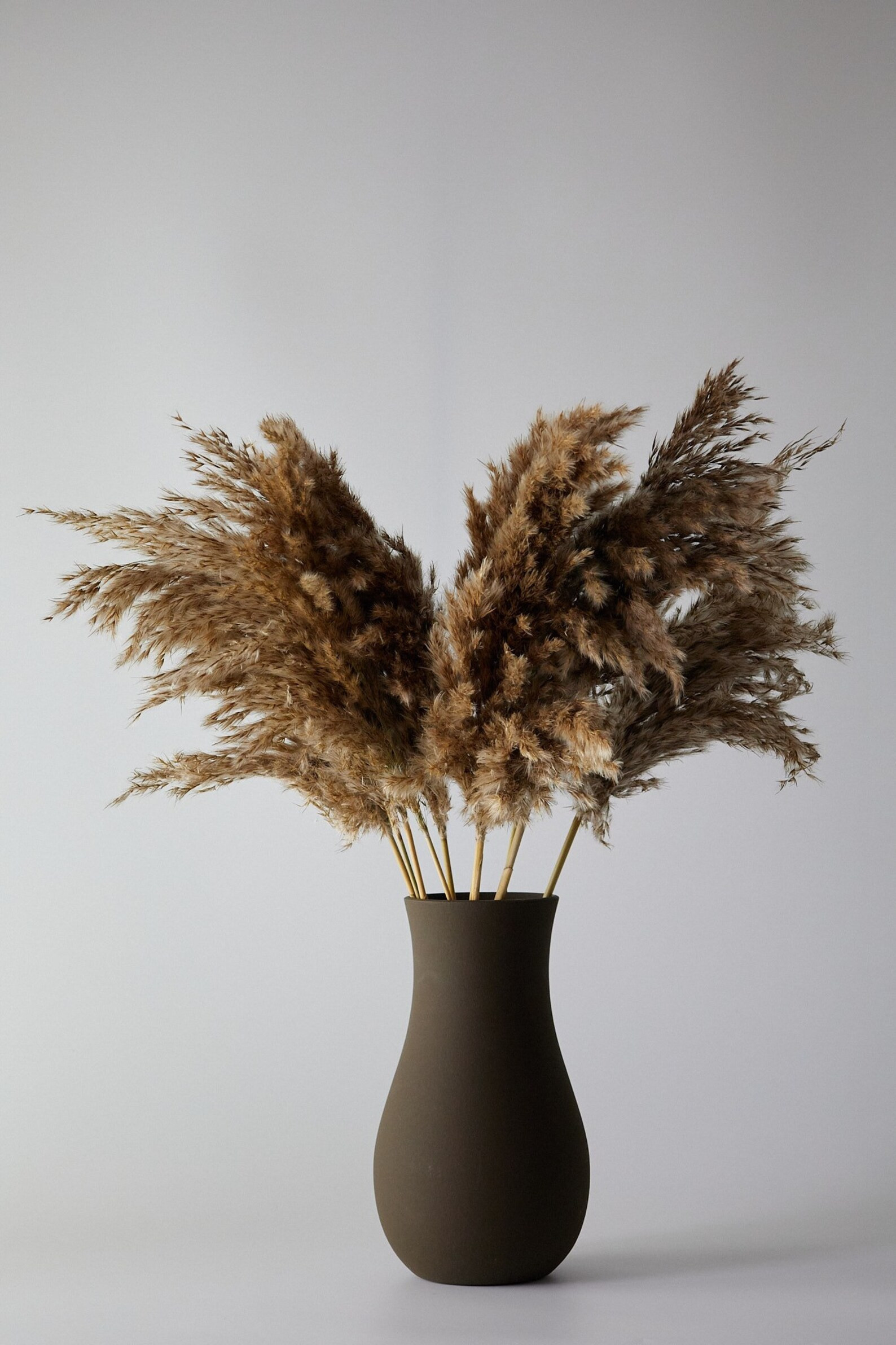 Pampas Grass Bunch Brown 10 Pcs Natural Dried  Preserved - Etsy | Etsy (US)